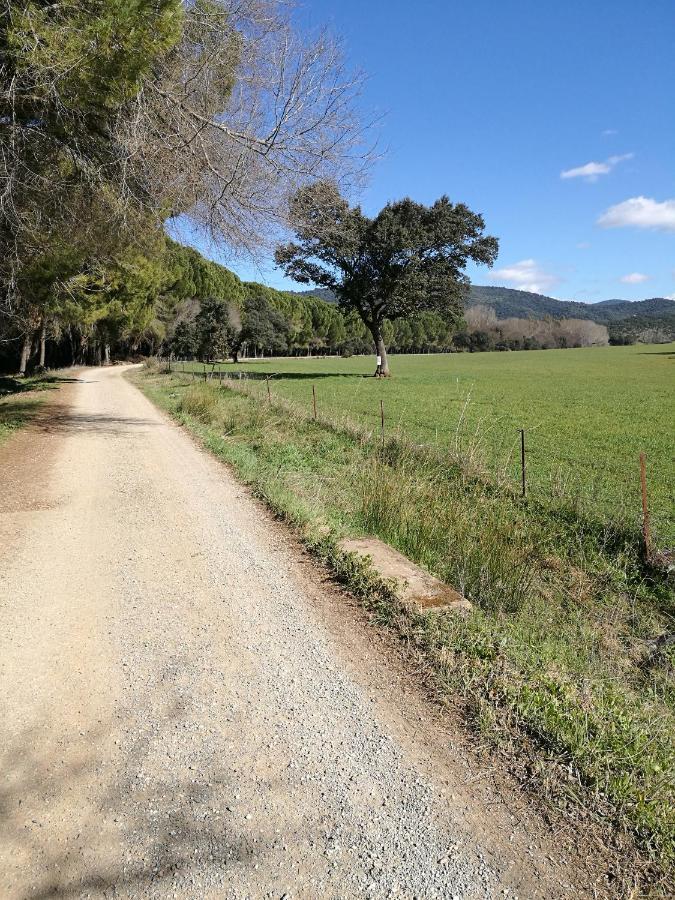 Finca Rural Labriega Del Hueznar Cazalla de la Sierra Zewnętrze zdjęcie