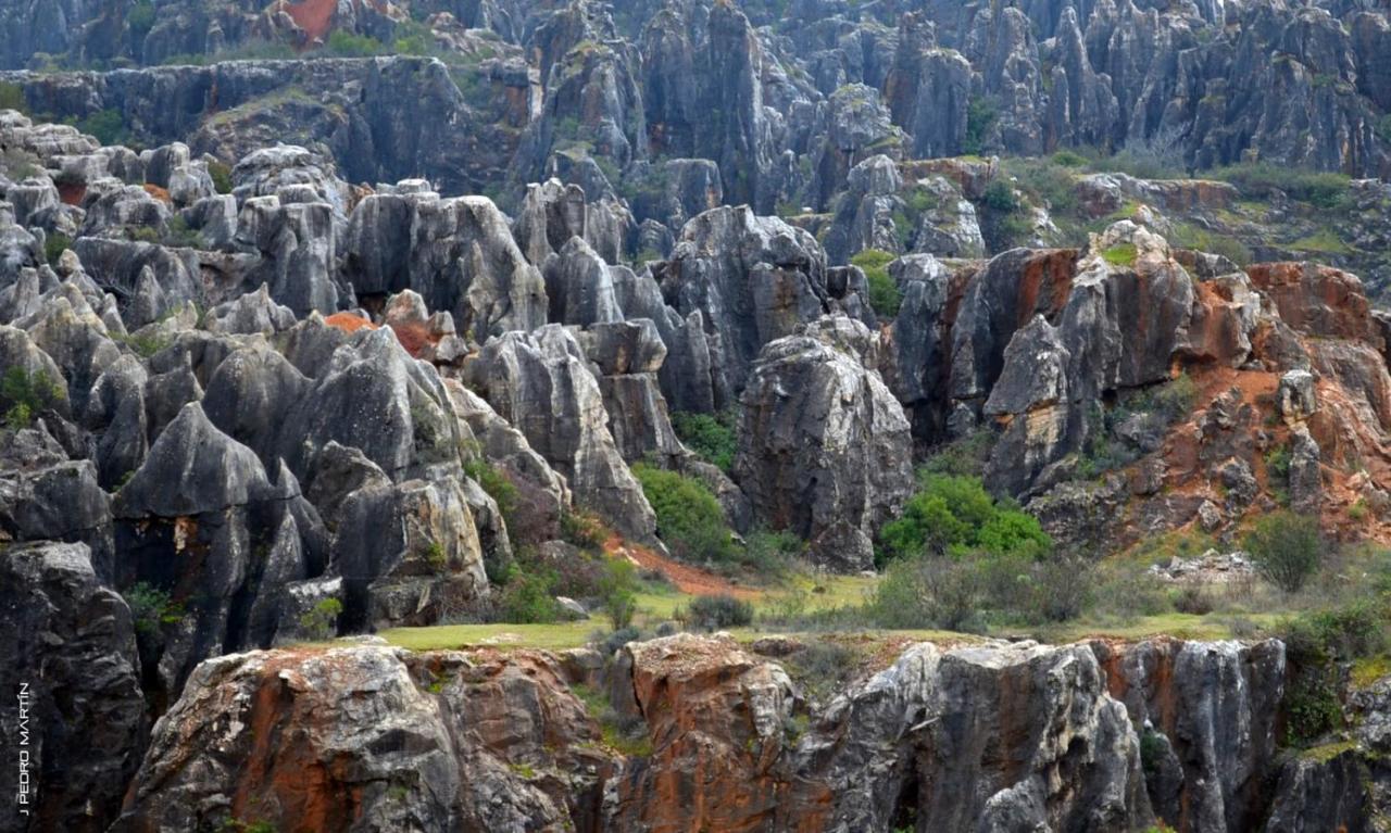 Finca Rural Labriega Del Hueznar Cazalla de la Sierra Zewnętrze zdjęcie