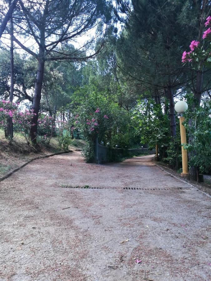 Finca Rural Labriega Del Hueznar Cazalla de la Sierra Zewnętrze zdjęcie