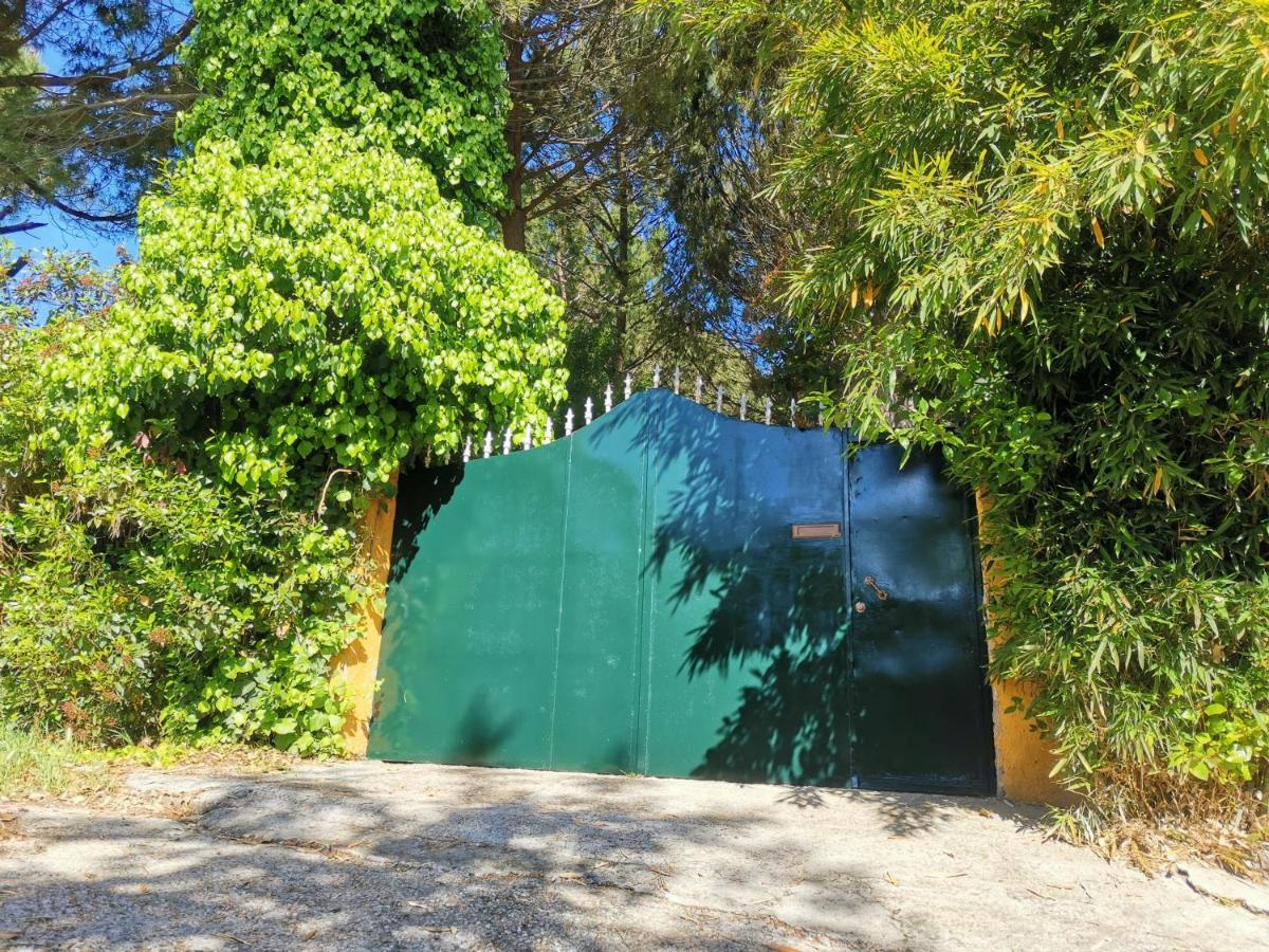 Finca Rural Labriega Del Hueznar Cazalla de la Sierra Zewnętrze zdjęcie