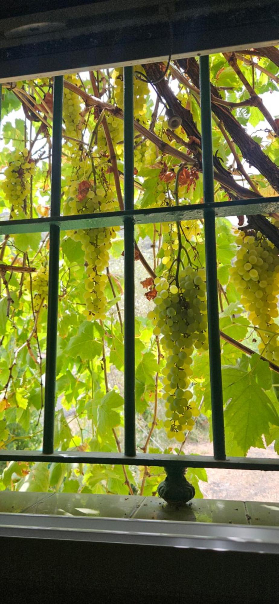 Finca Rural Labriega Del Hueznar Cazalla de la Sierra Zewnętrze zdjęcie